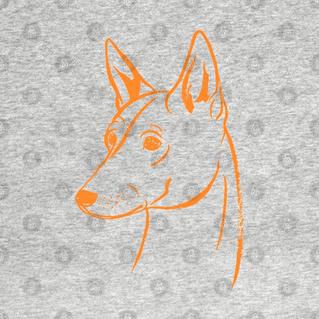 Basenji (White and Orange) by illucalliart